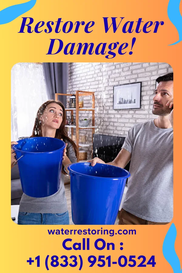 water restoration Precision Damage Recovery Experts Heidelberg