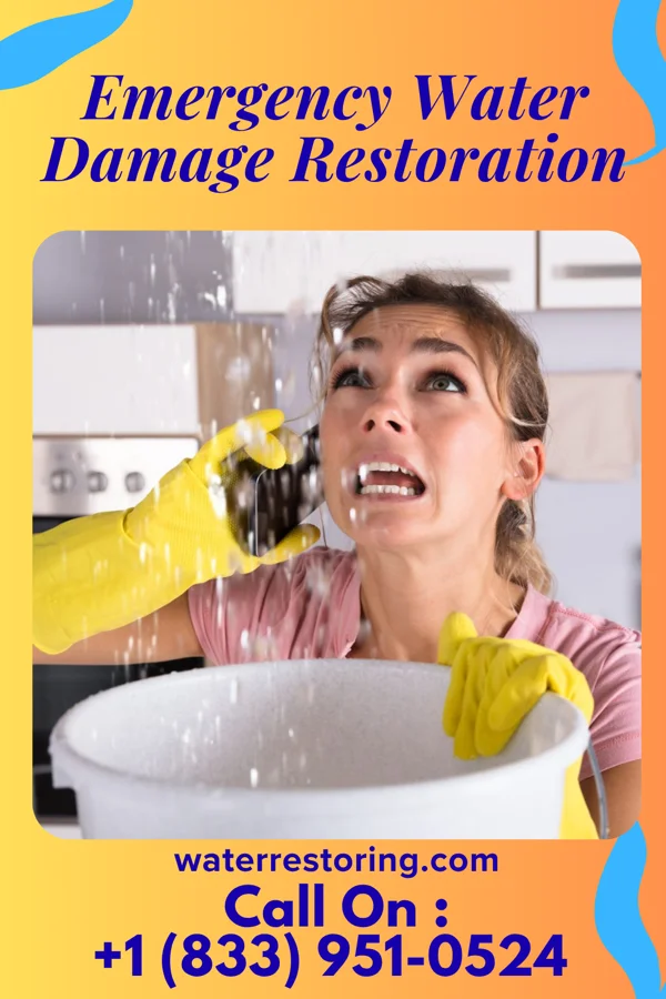 Emergency Water Damage Restoration in Heidelberg, MN