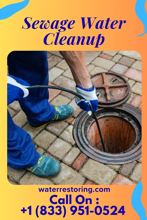 Sewage Water Cleanup in Heidelberg, MN