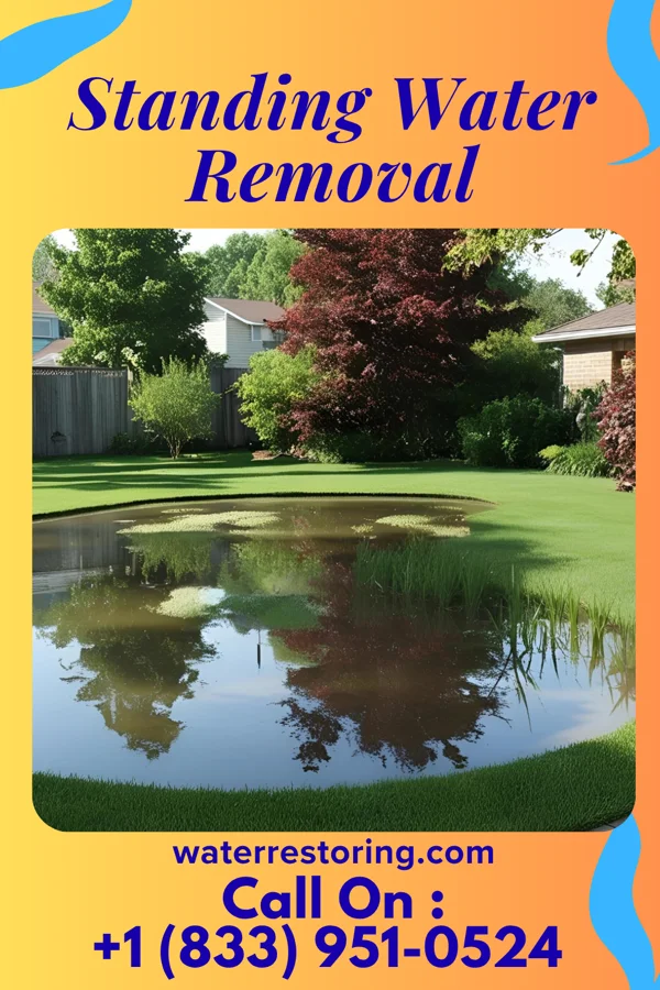 Standing Water Removal in Heidelberg, MN